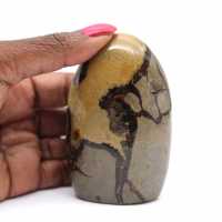 Polerad Septarian Stone