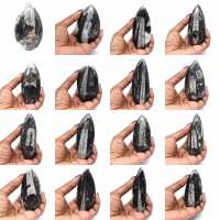Orthoceras fossil från Marocko Orthoceras fossil från Marocko