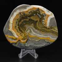 Polerad Jaspis Humleprydnad, Indonesien, Sällsynt