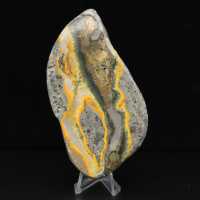 Polerad humlejaspis, sällsynt exemplar Indonesien