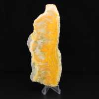 Polerad skiva av indonesisk humlajaspis