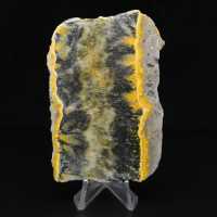 Litet skivat exemplar av Jaspishumla