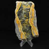 Tjock skiva polerad humlajaspis