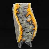 Robust skiva av indonesisk humlejaspis