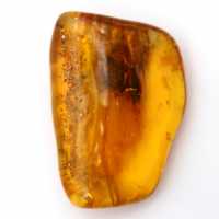 Baltisk bärnsten – Mineralogistensföremål