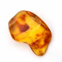 Liten gul bärnstenssten – Fossil Collectible