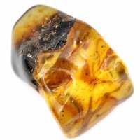 Autentisk polerad bärnsten från Litauen - Mineralogiprov Autentisk polerad bärnsten från Litauen - Mineralogiprov