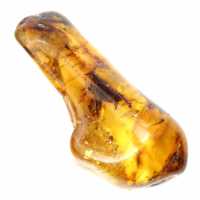 Polerat bärnstensstensprov - Dekoration och geologisk vetenskap Polerat bärnstensstensprov - Dekoration och geologisk vetenskap