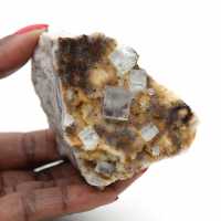 Samlarens gröna fluorit: Litet exemplar på matris Samlarens gröna fluorit: Litet exemplar på matris