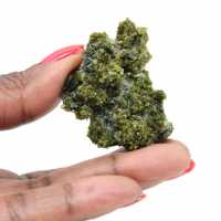 Miniatyrepidot på marockansk matris