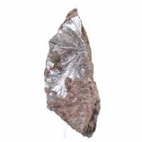 Råa pyrolusitkristaller, långt prov