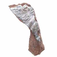 Pyrolusit, tunt kristallprov från Marocko Pyrolusit, tunt kristallprov från Marocko