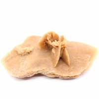 Exempel på en marockansk ökenros: ökengeometri