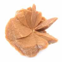 Stor ökenroskristall: exemplar från Marocko