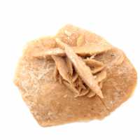 Mineralrosett från Marocko: gipskristallisering