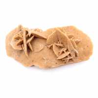 Marockos avlånga ökenros: ett geologiskt exemplar