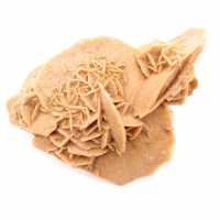 Marockos ökenros: rejäl gipskristall