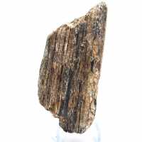 Svart turmalin från Madagaskar - Studieexemplar