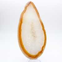 Prov av polerad sedimentär agat