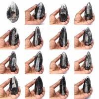 Orthoceras fossil från Marocko Orthoceras fossil från Marocko