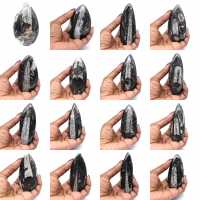 Orthoceras fossil från Marocko