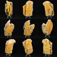 Bumblebee jaspis Bumblebee jaspis