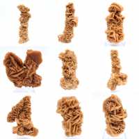 Naturlig mineralsandros Tunisien