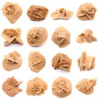 Marockos lilla ökenros: naturligt geologiskt fragment