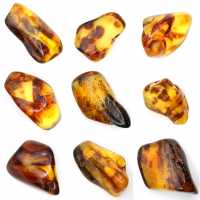 Liten polerad bärnstenssten från Litauen - Mineralogisk samling