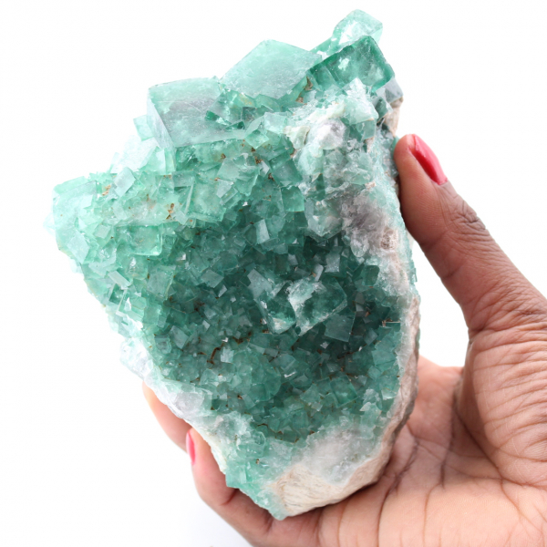 Kubiska kristaller av grön fluorit på massiv fluorit
