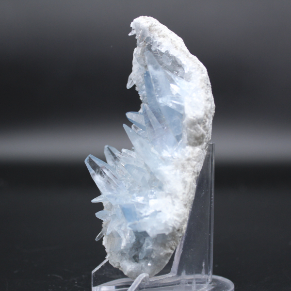 Celestite naturlig kristall