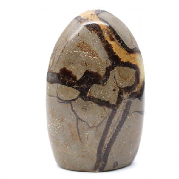 Polerad Septarian Stone