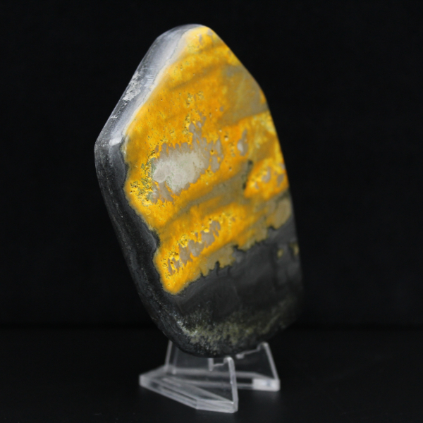 Bumblebee Polished Indonesia-kollektionen