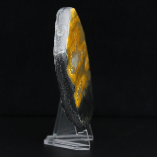 Bumblebee Polished Indonesia-kollektionen