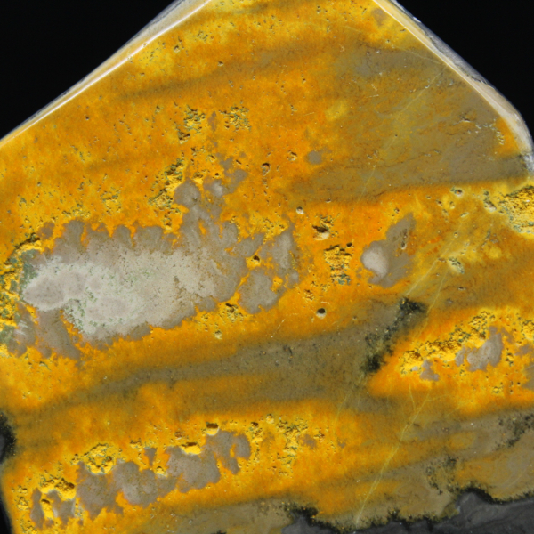 Bumblebee Polished Indonesia-kollektionen