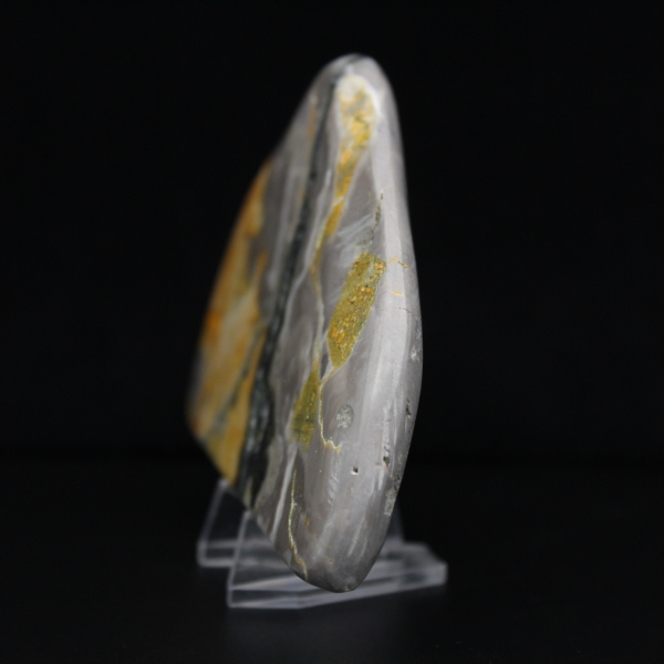 Polerad humlajaspis, kollektion och estetik