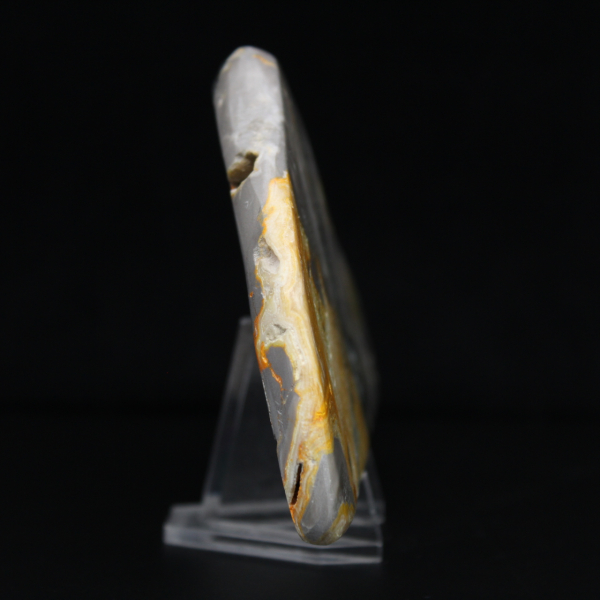 Polerad humlajaspis, kollektion och estetik