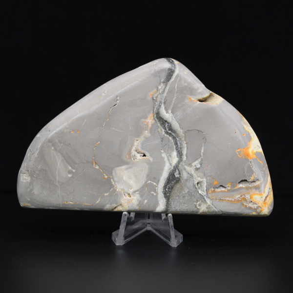 Polerad humlajaspis, kollektion och estetik