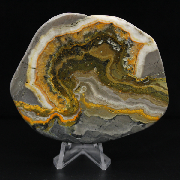 Polerad Jaspis Humleprydnad, Indonesien, Sällsynt