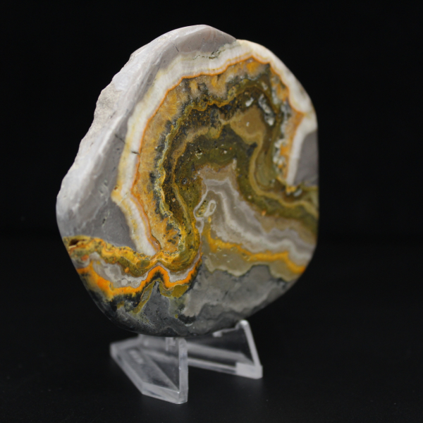 Polerad Jaspis Humleprydnad, Indonesien, Sällsynt