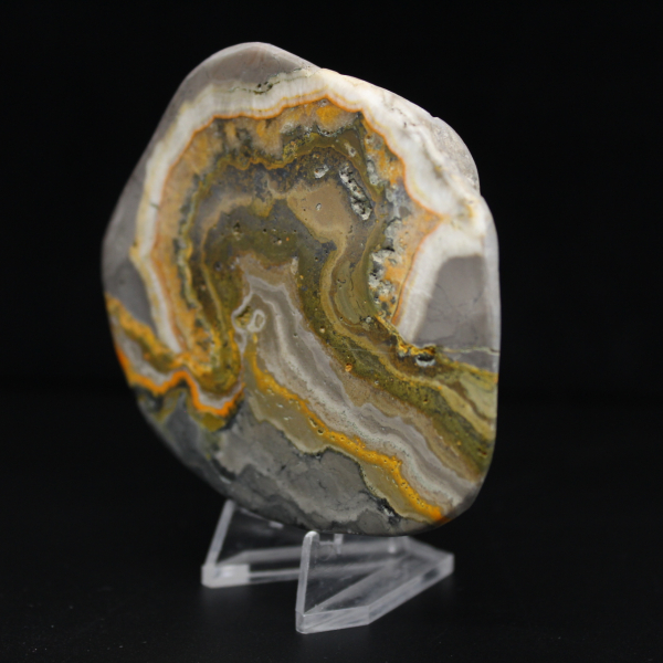 Polerad Jaspis Humleprydnad, Indonesien, Sällsynt