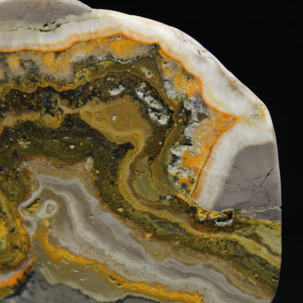 Polerad Jaspis Humleprydnad, Indonesien, Sällsynt