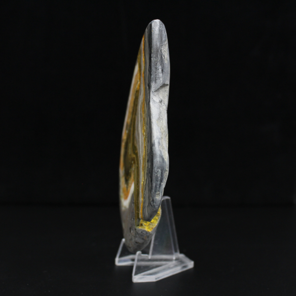 Polerad humla jaspis sten mineralvetenskap