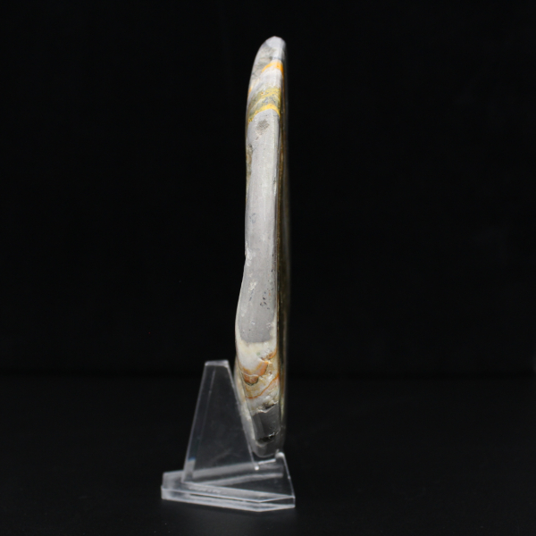 Polerad humla jaspis sten mineralvetenskap