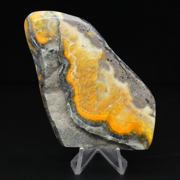 Slät Jaspis Humla Samlingsexemplar