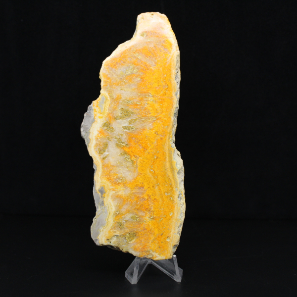 Polerad skiva av indonesisk humlajaspis