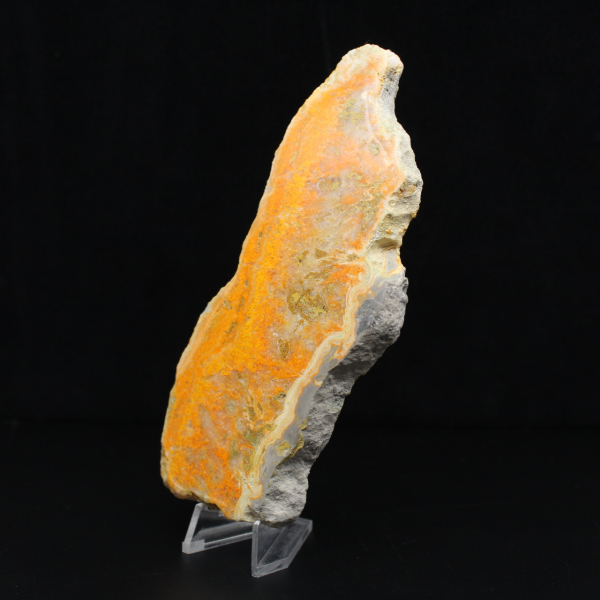 Polerad skiva av indonesisk humlajaspis