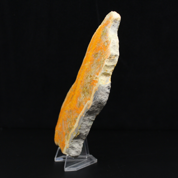 Polerad skiva av indonesisk humlajaspis