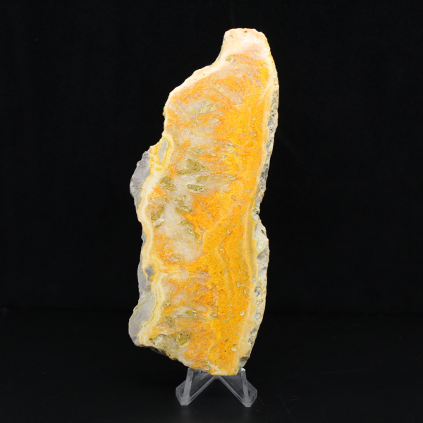 Polerad skiva av indonesisk humlajaspis