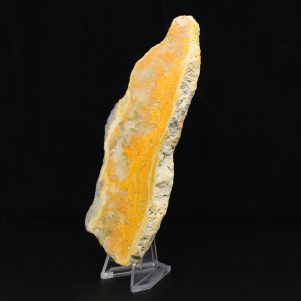 Polerad skiva av indonesisk humlajaspis